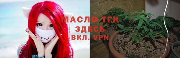 дмт Алзамай