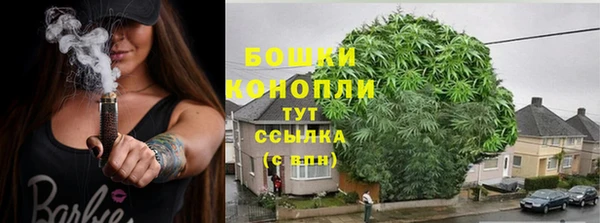 СК Абинск