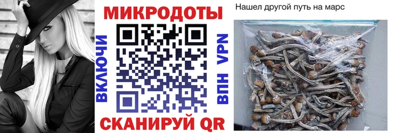 купить  сайты  Ростов-на-Дону  Галлюциногенные грибы Psilocybine cubensis 